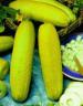 Yellow_Submarine_Cucumbers_Seeds.jpg