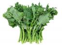 broccoli raab.jpg