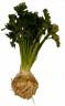 celery-root.jpg