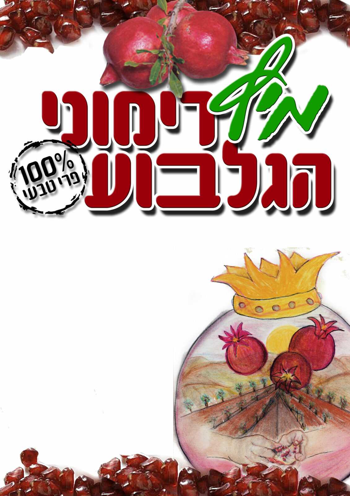 rimonim