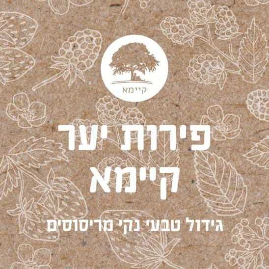 חוות קיימא אוכמניות ריבוע