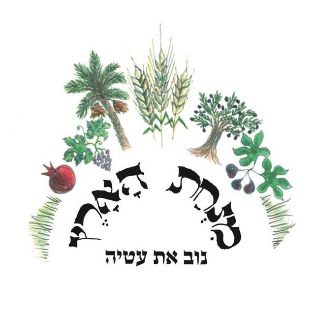 1לוגו-רקע-שקוף-2 Medium